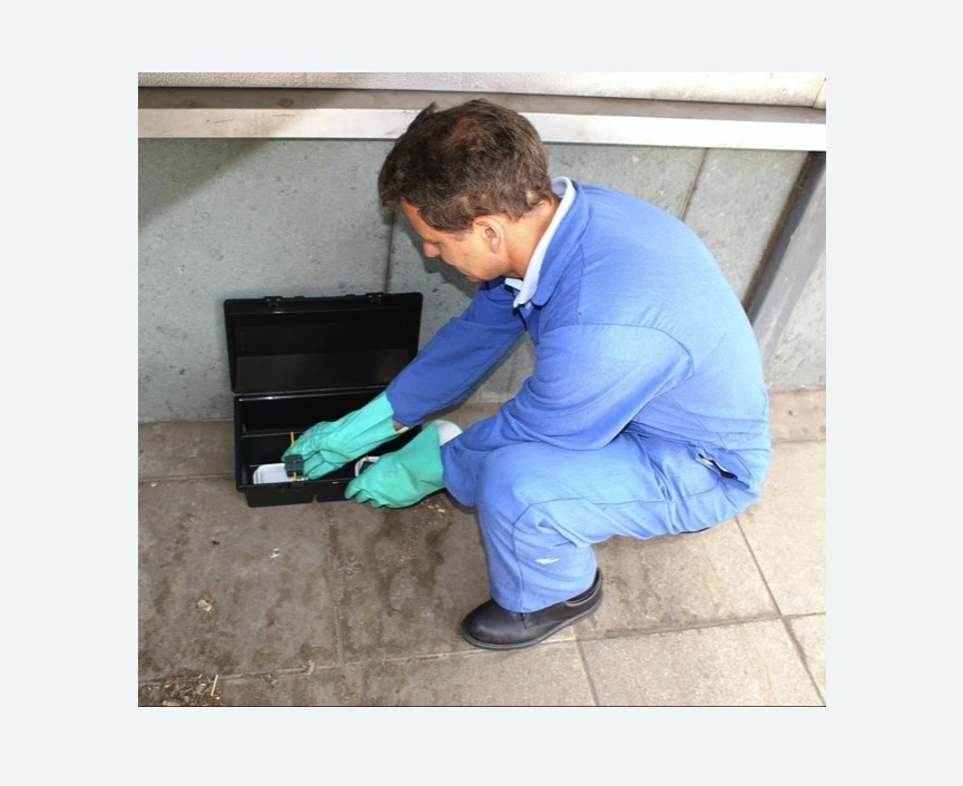 Дератизация помещения в Азнакаево Дератизация помещения