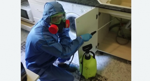 Уничтожение муравьев в квартире. Азнакаево
