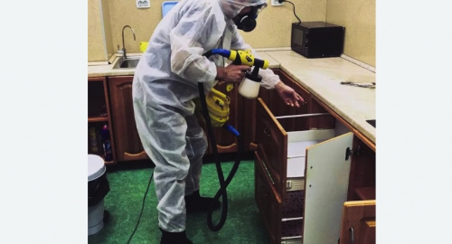 Уничтожение насекомых в квартире. Азнакаево