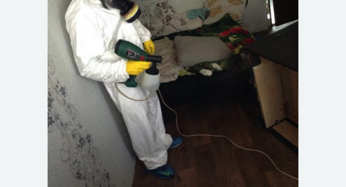 Обработка квартир от насекомых в Азнакаево