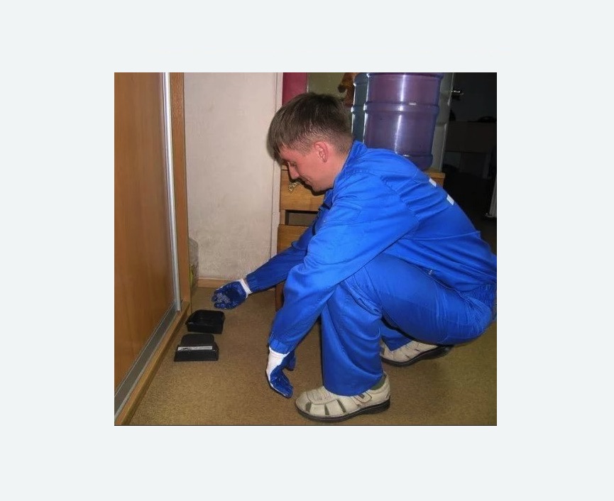 Дератизация крыс в Азнакаево