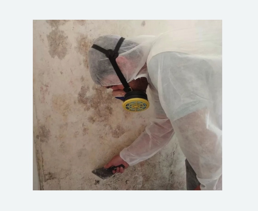 Обработка стен от плесени в Азнакаево