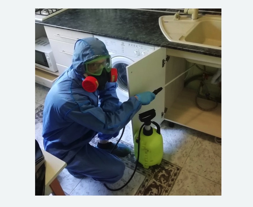 обработка от муравьев в квартире в Азнакаево