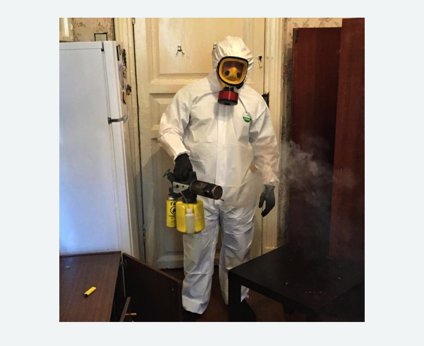 уничтожение муравьев в квартире в Азнакаево